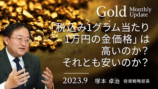 「税込み1グラム当たり1万円の金価格」は 高いのか？それとも安いのか？＜塚本 卓治＞｜ゴールド 20239 [upl. by Nuhsal]