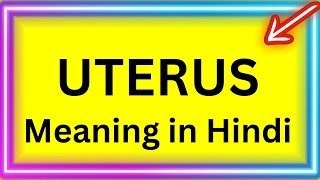 Uterus Meaning in Hindi [upl. by Strait940]