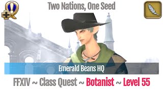 FFXIV Botanist Quest Level 55  Heavensward  Two Nations One Seed Emerald Beans HQ [upl. by Bloch]