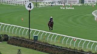 Turnbull Stakes Day Gallops Tue 1 October Via Sistina [upl. by Gney]