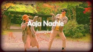 Aaja Nachle SlowedReverb honeybee [upl. by Lavotsirc]