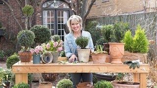 How To Make a Boxwood Topiary Ball  Southern Living Plant Collection X Linda Vater [upl. by Attiuqram]