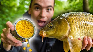 How To Catch Carp With Corn Easy and cheap bait for carp fishing [upl. by Tolecnal174]