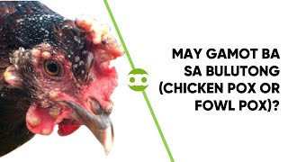 May Gamot Ba sa Bulutong Chicken Pox or Fowl Pox [upl. by Oiramal310]