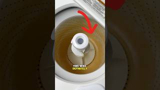 I Saved This Washing Machine cleaning satisfying cleaningtips [upl. by Zadoc]