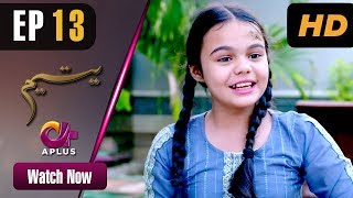 Yateem  Episode 13  Aplus Dramas  Sana Fakhar Noman Masood Maira Khan  Pakistani Drama [upl. by Publia]