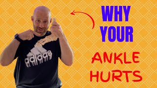 Why Does Your Ankle Hurt Understanding Common Injuries [upl. by Pavla441]