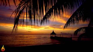 1 Hour Chill Out Reggae Island Music  Infest  Alific [upl. by Sigvard]