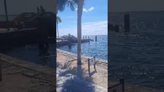 Visiting Vizcaya Museum and Gardens in Miami miami nature beautiful [upl. by Googins]