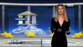 Européennes mode demploi  Le député européen [upl. by Eelrahc]