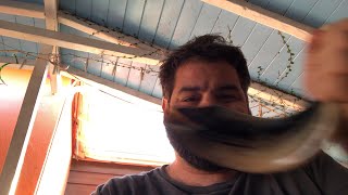 Learn to blow Shofar in 2 minutes [upl. by Eednahs33]