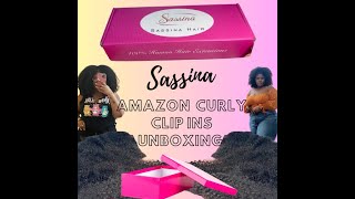 Sassina Hair Curly Clip Ins Unboxing [upl. by Trin722]