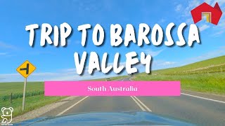 Trip to Barossa Valley South Australia Drive videos in Australia [upl. by Lundin]