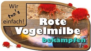 Rote Vogelmilbe bekämpfen  100 biologisch und ohne Chemie  Wir tuns einfach [upl. by Iliam]