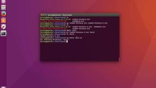 Linux Basics How to Copy Files and Directories [upl. by Heindrick979]