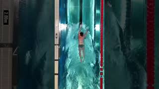 Easy and efficient freestyle swimming 🏊‍♂️ swimming [upl. by Lunna]