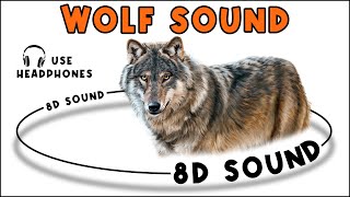 WOLF SOUND  WOLF SOUND EFFECT  NOISE OF WOLF  animal sound [upl. by Rangel698]