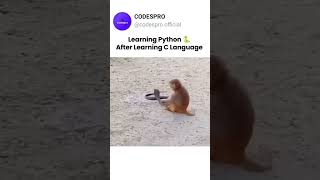 Learn python after learning C language 😂 python c programming coding development memes [upl. by Rhonda829]