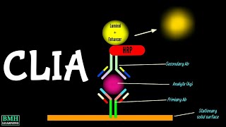 Chemiluminiscence Immunoassay  CLIA Immunoassay [upl. by Iams106]