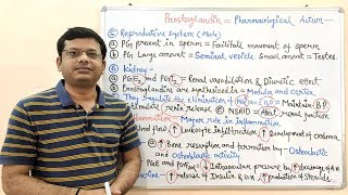 Prostaglandin Part 02  Pharmacological Action of Prostaglandins  Prostaglandins Pharmacology [upl. by Revart]