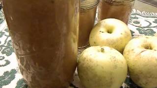 My Lactofermented applesauce experiment [upl. by Huai]