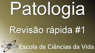 Revisão rápida de Patologia 1 surgimento da aterosclerose [upl. by Norton587]