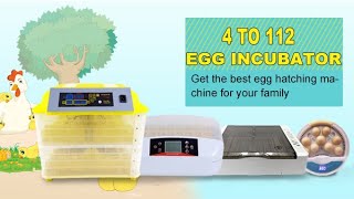 HHD Automatic Poultry Egg Incubator [upl. by Evers]