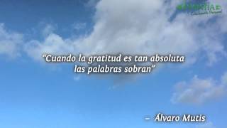 5 frases bonitas para escribir una carta de agradecimiento [upl. by Davon]