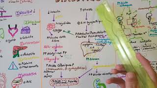 tous savoir sur LACIDOCETOSE DIABETIQUEDEUXIÈME PARTIE  MÉCANISME BIOCHIMIQUEPHYSIOPATHOLOGIQUE [upl. by Oirobil664]