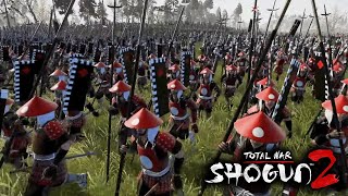 A Dazzling Display Of Tactics  Shogun 2 Total War [upl. by Haelat]