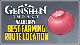 How To Get Valberry  Genshin Impact  Best Farming Route [upl. by Maccarone]