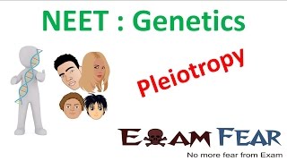 NEET Biology Genetics  Pleiotropy Sickle Cell Disease [upl. by Corabel289]