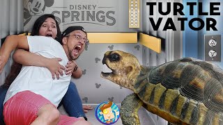 TURTLE in the ELEVATOR Bad Idea Disney Springs in Quarantine FV Family Beach Vlog [upl. by Silvester]