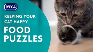 Food Puzzles  Keeping your Cat Happy Ep 2 [upl. by Adnarahs]