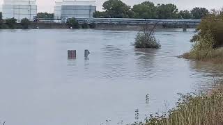 Wien Hochwasser Neue Donau bei Wehr 2 15092024 [upl. by Aihsoek278]