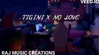 Tigini X No Love  tiktok attitude  slowed and reberb [upl. by Revert308]