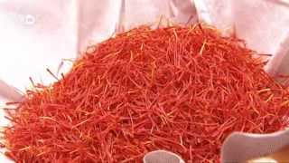 Saffron From Spain  Euromaxx [upl. by Kahle]