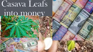 Turn Cassava Leafs to money cassava leaf and cowries theseer spiritualtips money casava leafs [upl. by Bucher]