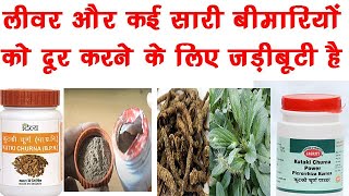 Kutki Churna Many BenefitsDosageSide Effects  Picrorhiza kurroa  Patanjali Divya Kutki [upl. by Etheline]