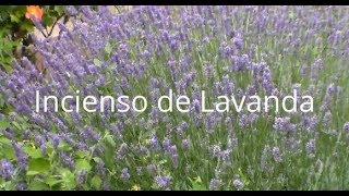 Cómo hacer INCIENSO de LAVANDA Tutorial [upl. by Carew826]