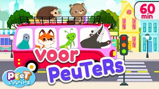 Voertuigen Dierengeluiden Boerderijdieren amp meer Pretlettertjes Kinderfilmpjes [upl. by Nillad476]