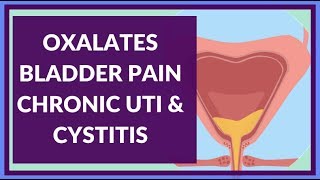 How Oxalates Can Cause Chronic UTI Interstitial Cystitis amp Bladder Irritation [upl. by Lupee249]