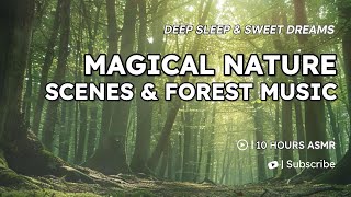 Magical Nature Scenes amp Forest Music for Deep Sleep amp Sweet Dreams 10 Hours [upl. by Aronoh]