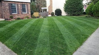 How To Fix a Yellowing Winter Lawn [upl. by Faux776]