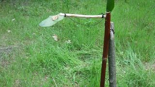 Baiting the Survival Bird Perch Snare [upl. by Sukramal]