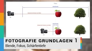 Blende Fokus Schärfentiefe einfach erklärt  Fotografie Grundlagen 1  HD [upl. by Blum]