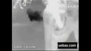 Funny  Infrared Camera catches Man Fart in Airport [upl. by Raven226]