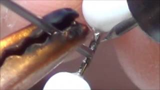 Welding Piano Wire to Pins [upl. by Ttenaj681]