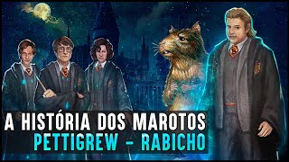 HOGWARTS UMA HISTÓRIA  MAROTOS RABICHO [upl. by Nawor]