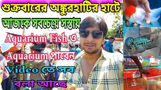 Ankurhati Fish Pet Market  Aquarium Fish Price  Howrah Ankurhati Pet Market  Pet Market [upl. by Ardnasela586]